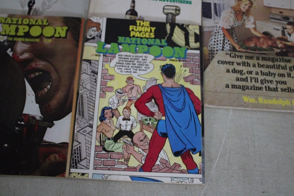 16 National Lampoon Magazines 1970's - 7
