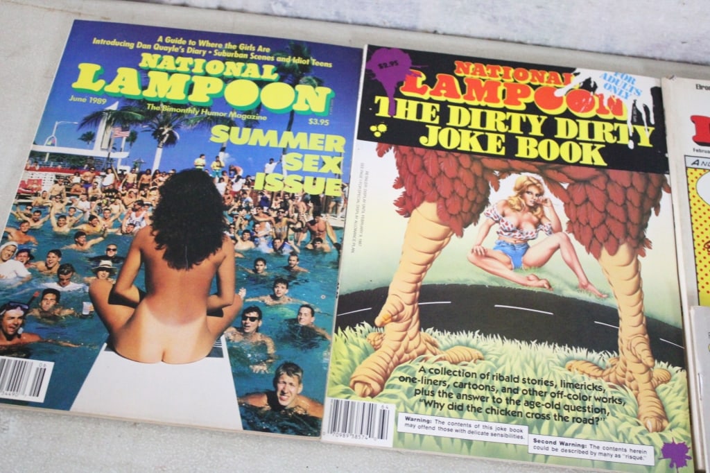 22 National Lampoon Magazines 1980's & 90's - 10