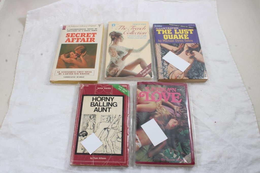 5 Adult Erotica Risque Books (1 of 12)