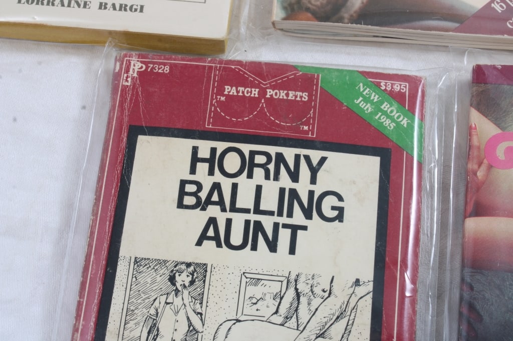 5 Adult Erotica Risque Books - 2