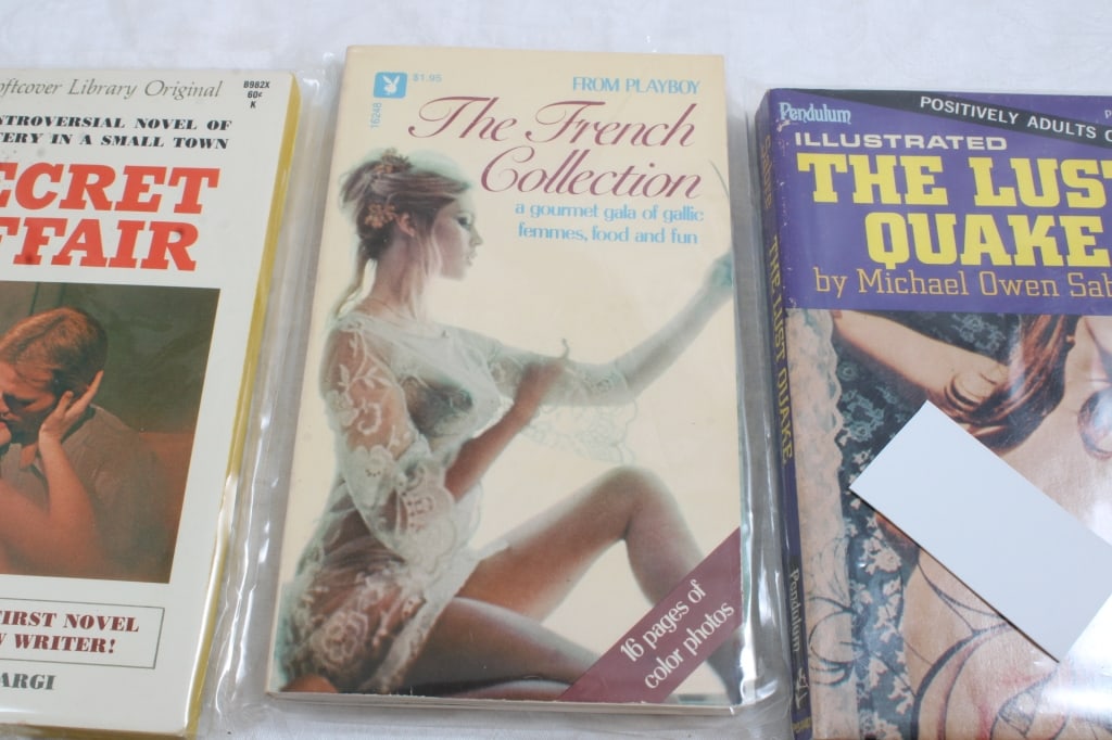 5 Adult Erotica Risque Books - 6