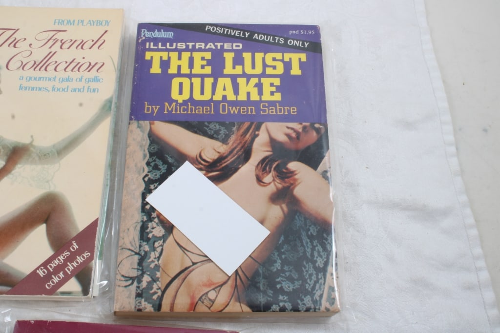 5 Adult Erotica Risque Books - 7
