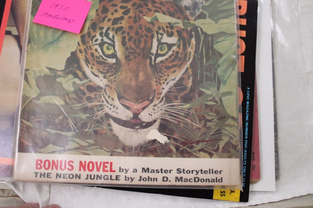 8 Risque Nude Men's Magazines - 19