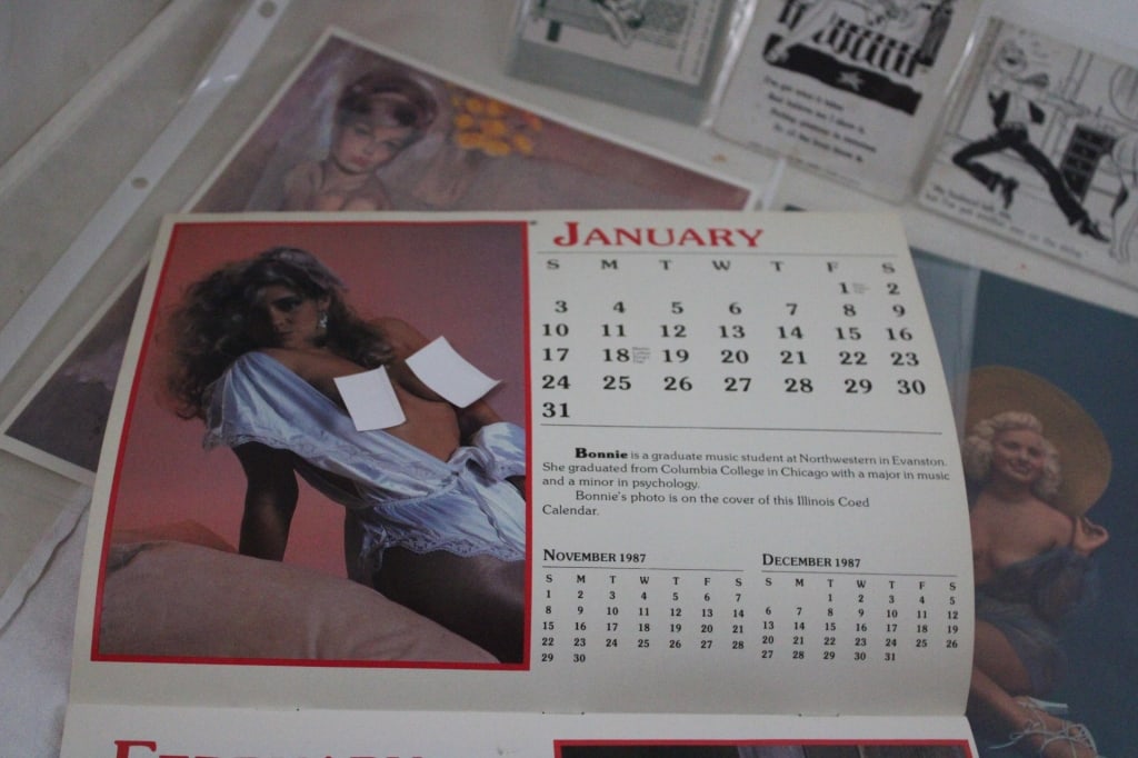 Risque Pin Up Postcards, Ink Blotters, Calendar - 11