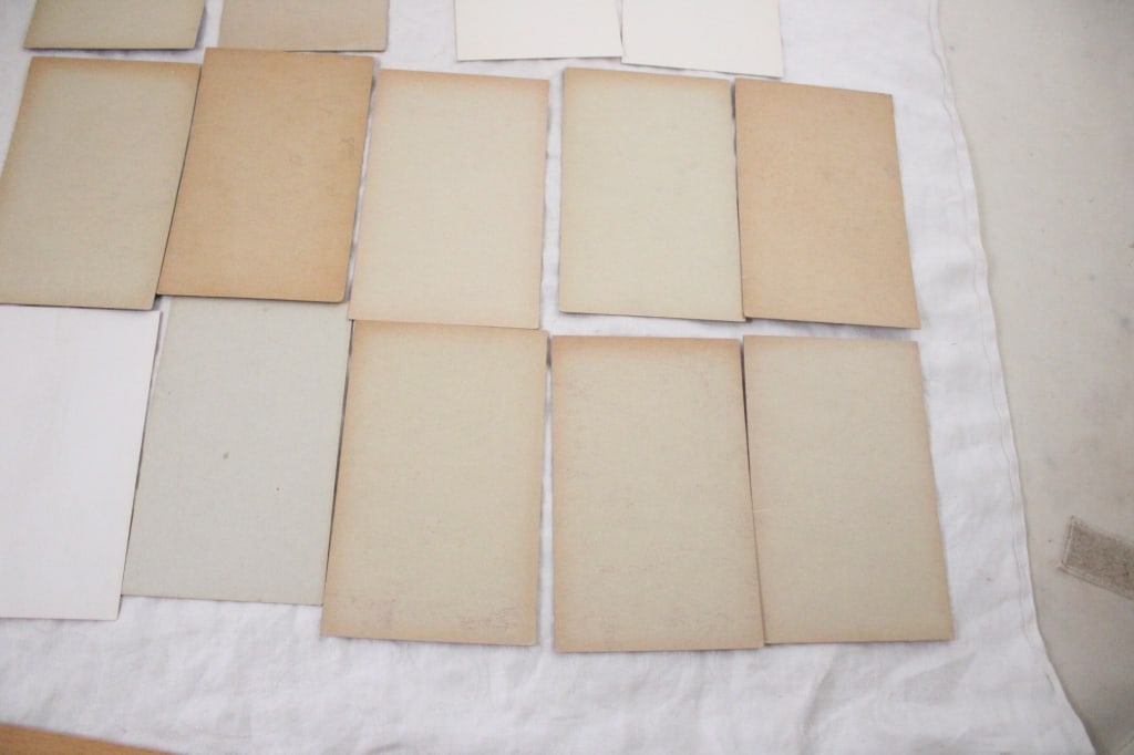 13 Mutoscope Arcade Pin Up Cards - 14