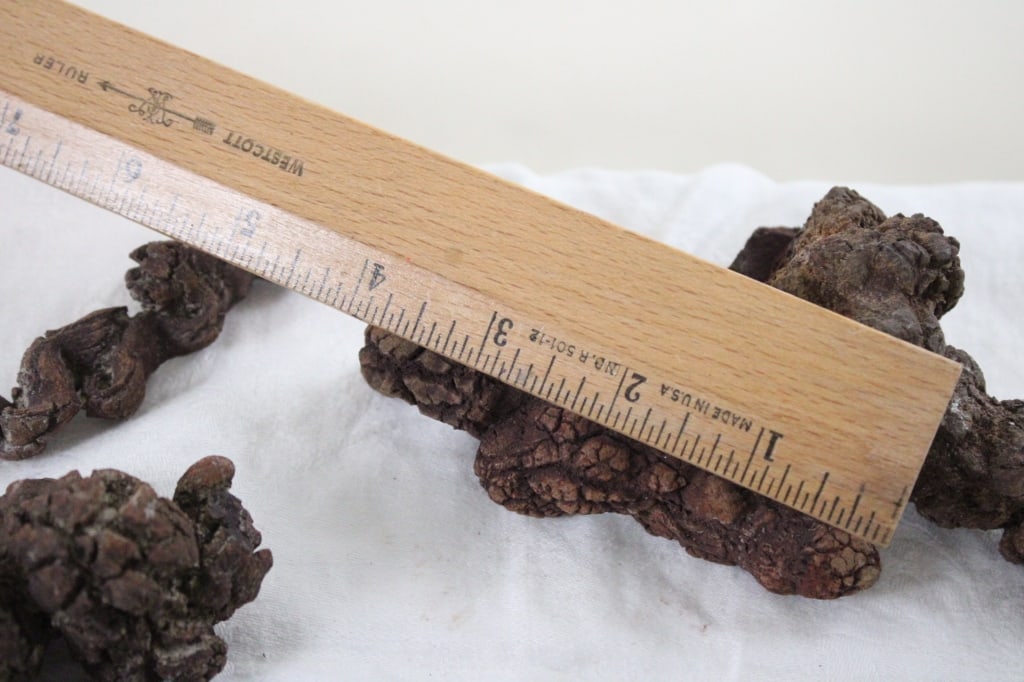 Assortment of Geological Minerals & Specimens - 18