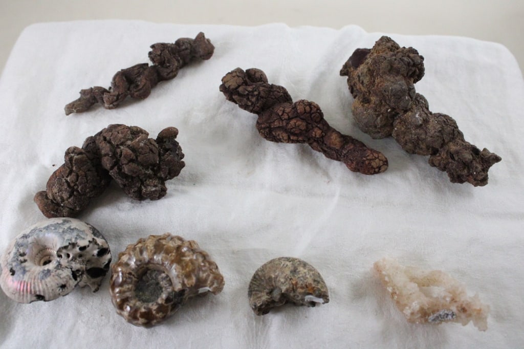 Assortment of Geological Minerals & Specimens: Assortment of Geological Minerals & Specimens - Ancient Conch Shells of Madagascar, Quartz Crystal, Coprolite (fossilized feces). Lot Size 7" x 6" x 4". 2 Lbs. Photos are part of description