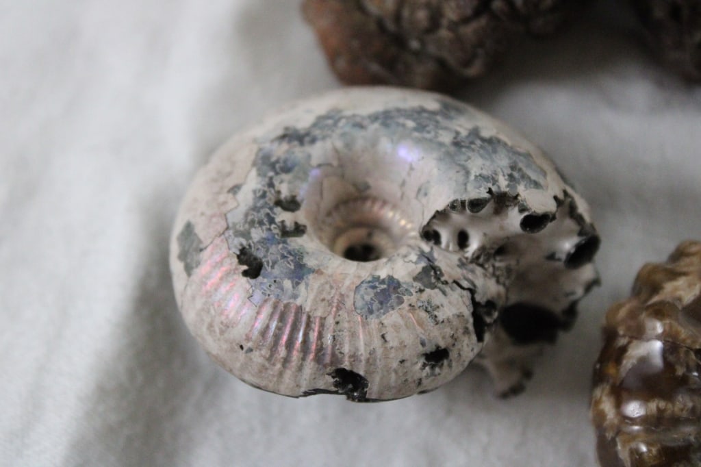 Assortment of Geological Minerals & Specimens - 2