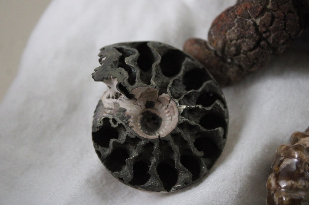 Assortment of Geological Minerals & Specimens - 4