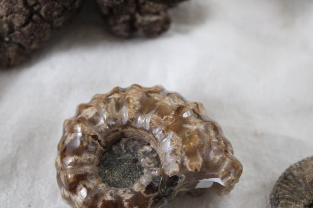 Assortment of Geological Minerals & Specimens - 5