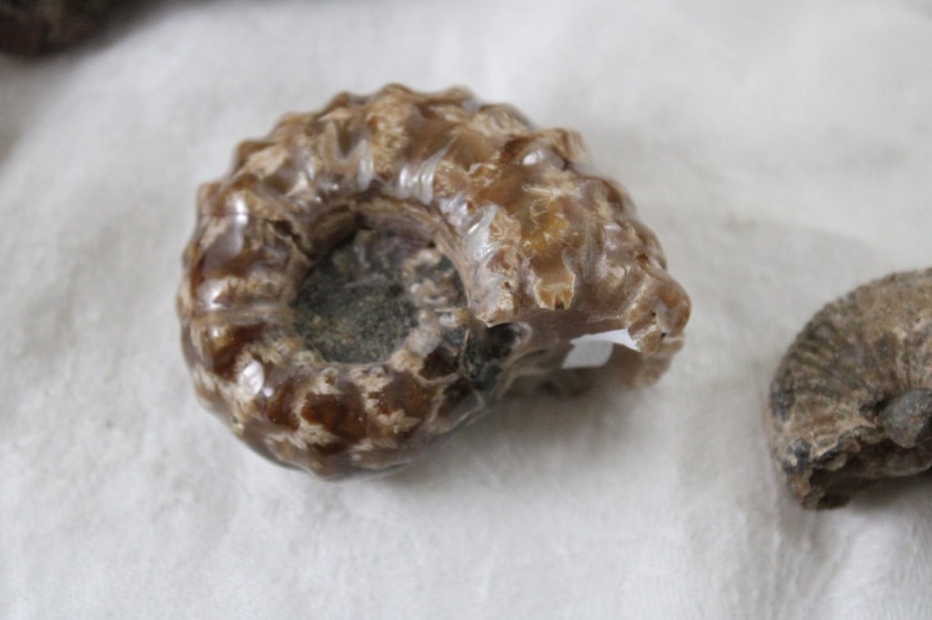 Assortment of Geological Minerals & Specimens - 6