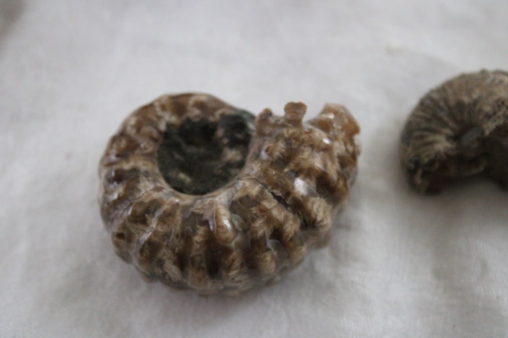 Assortment of Geological Minerals & Specimens - 7