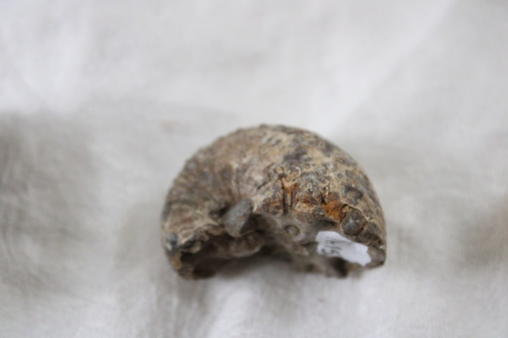 Assortment of Geological Minerals & Specimens - 8