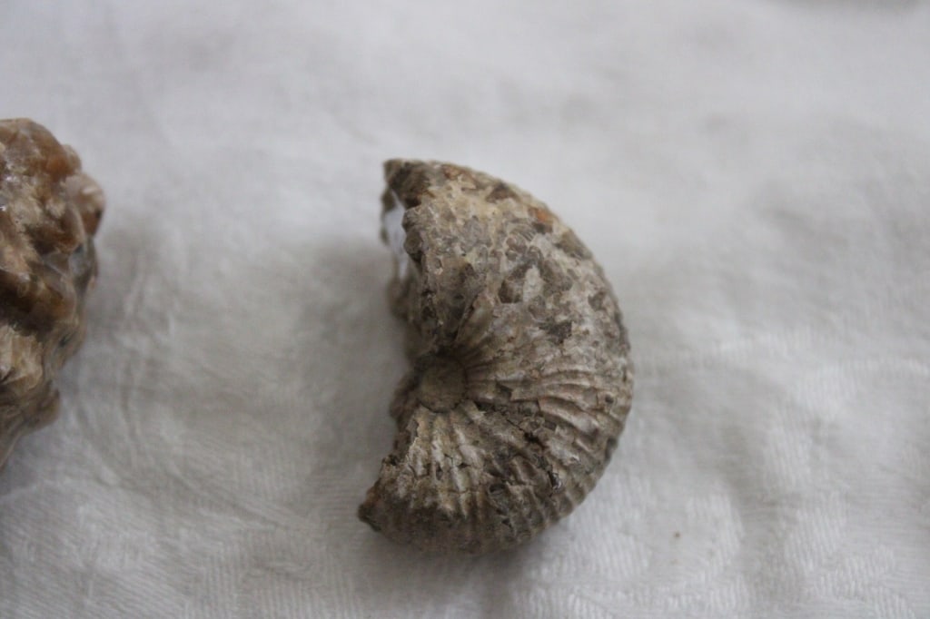 Assortment of Geological Minerals & Specimens - 9