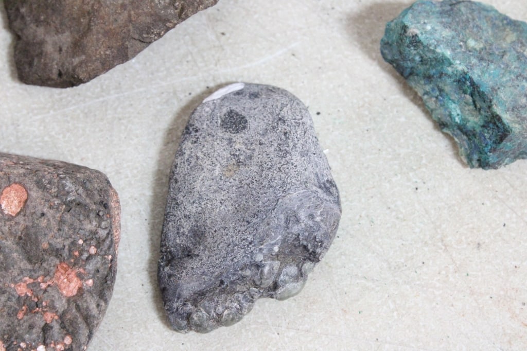 Assorted Geological Specimens and Minerals - 4