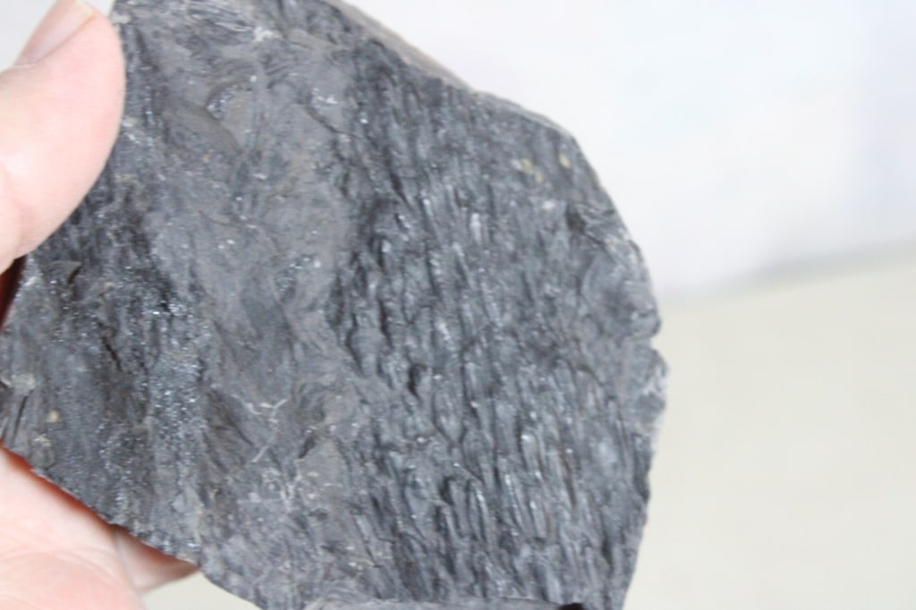 Assorted Geological Fossils - 13