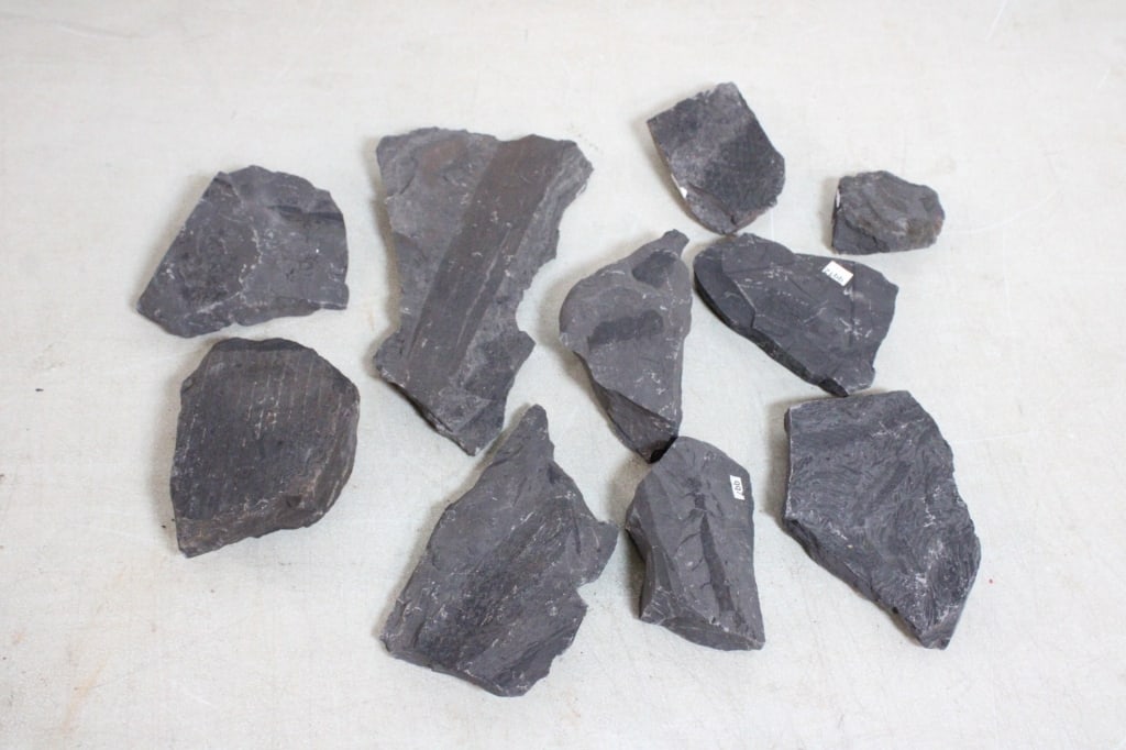 Assorted Geological Fossils: Assorted Geological Fossils - Lot Size 10" x 7" x 5". 11 Lbs. Photos are part of description (Live Auctioneers on displays a max of 20 photos -check other polatforms for all photos). Please ask