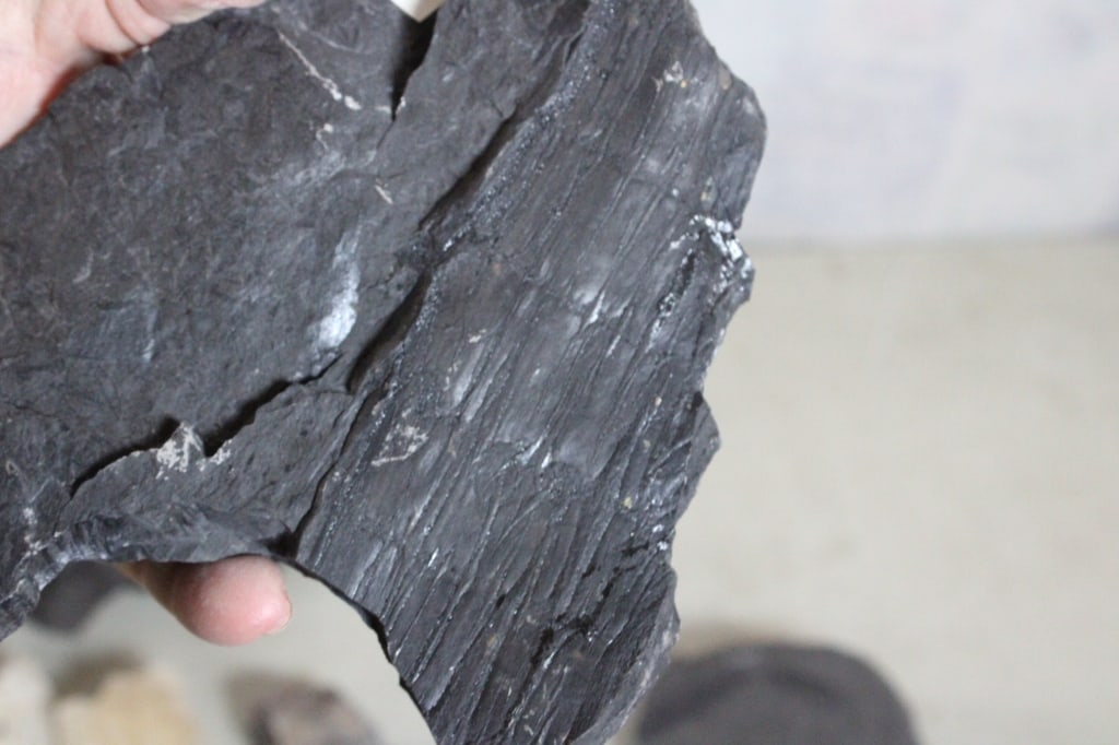 Assorted Geological Specimens, Minerals, Fossils - 17