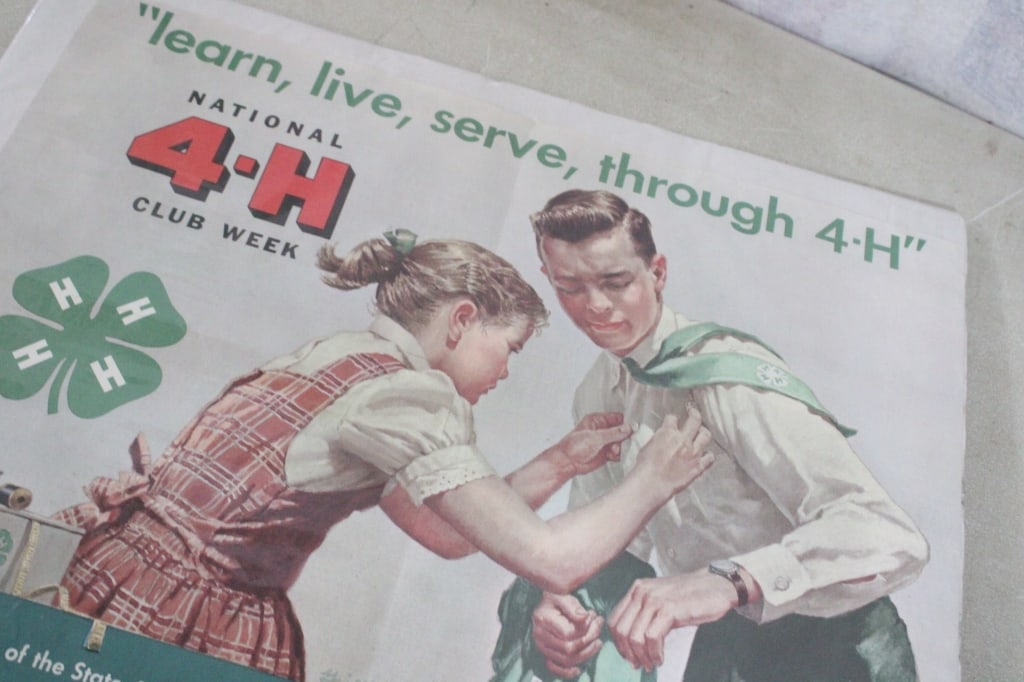 3 Vintage Advertising Signs - 14