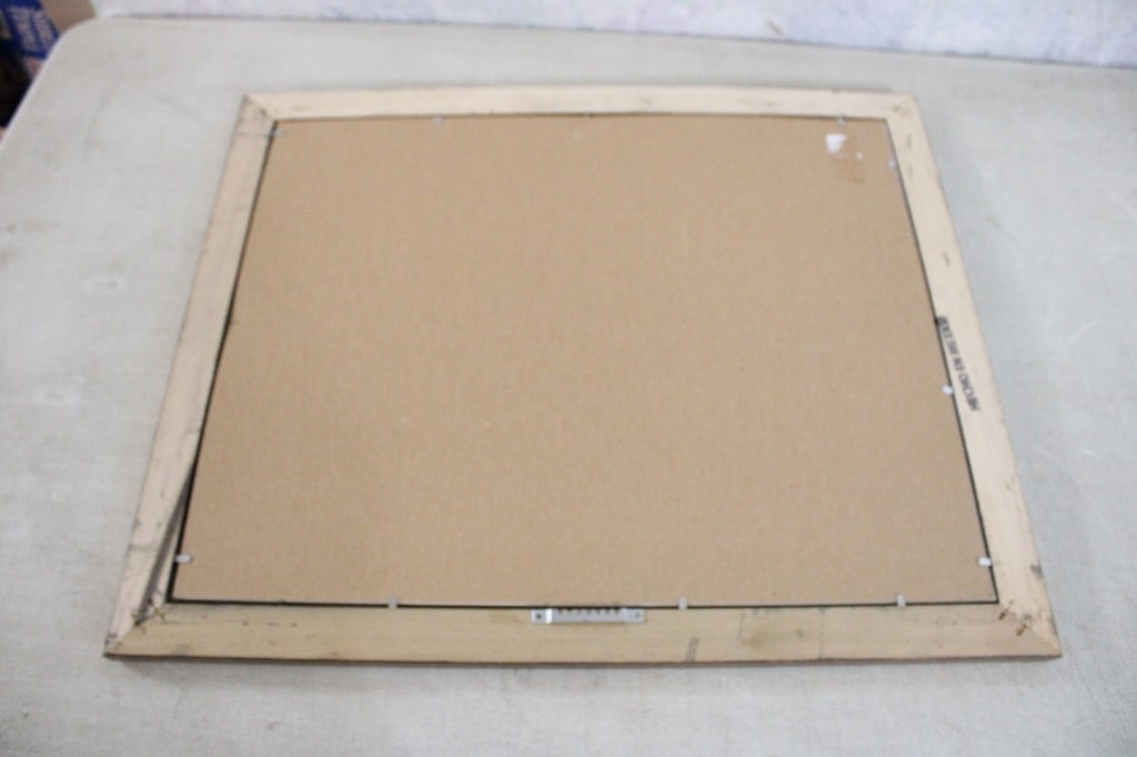 1935 Kellogg Co. Freckles Frog Framed Pillow Cloth - 10