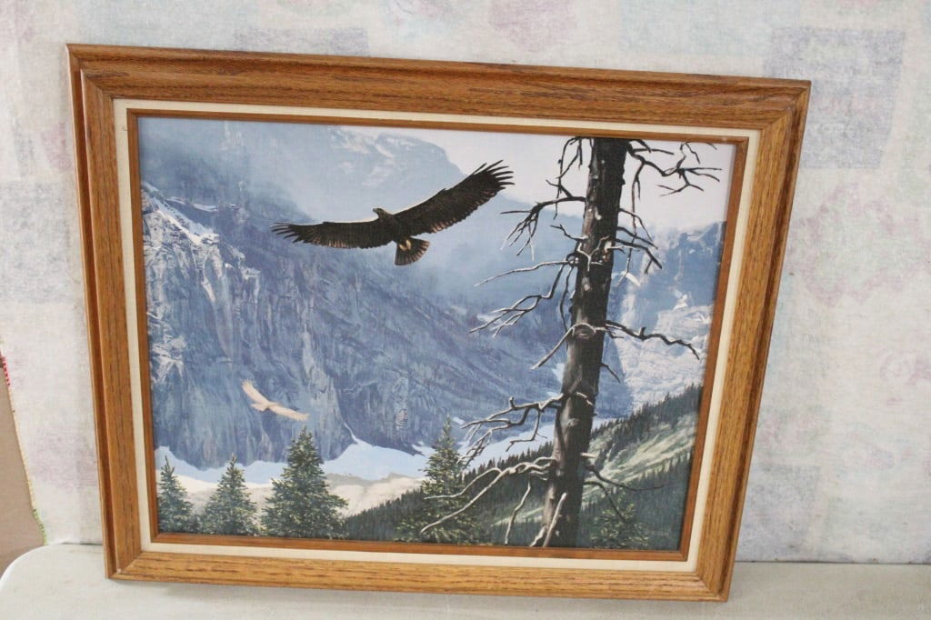 Framed Tom Beecham Soaring Eagles Art Print (1 of 8)