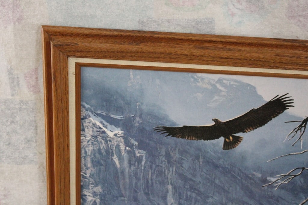 Framed Tom Beecham Soaring Eagles Art Print - 2