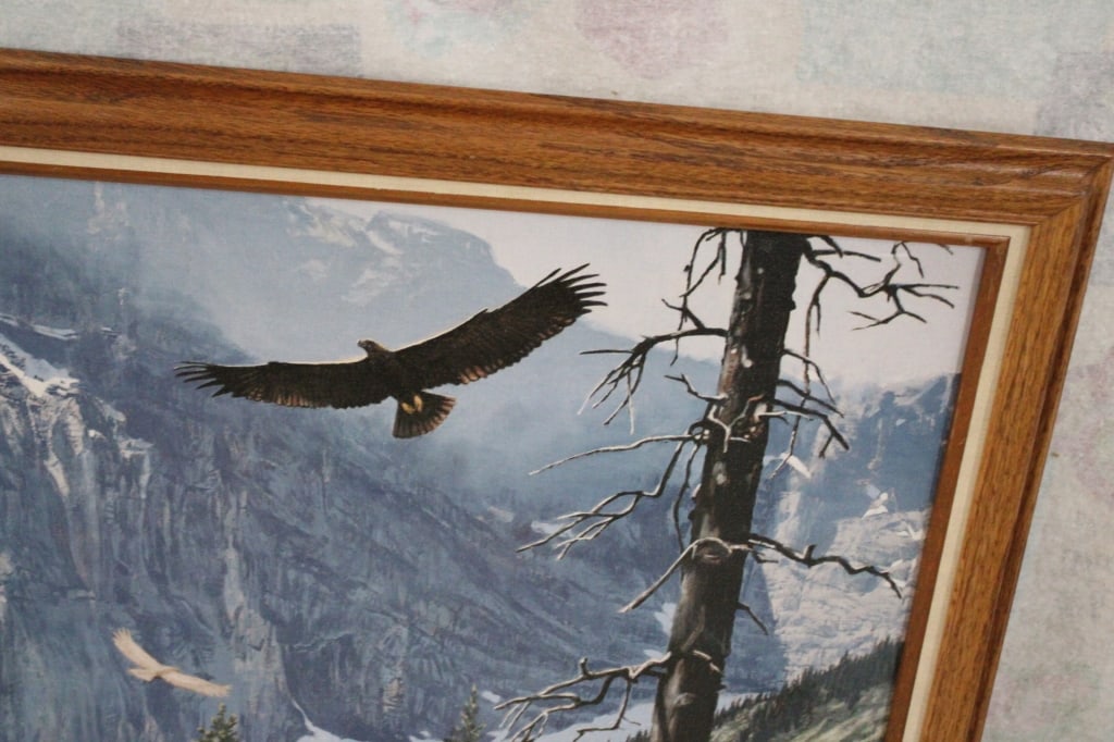 Framed Tom Beecham Soaring Eagles Art Print - 3