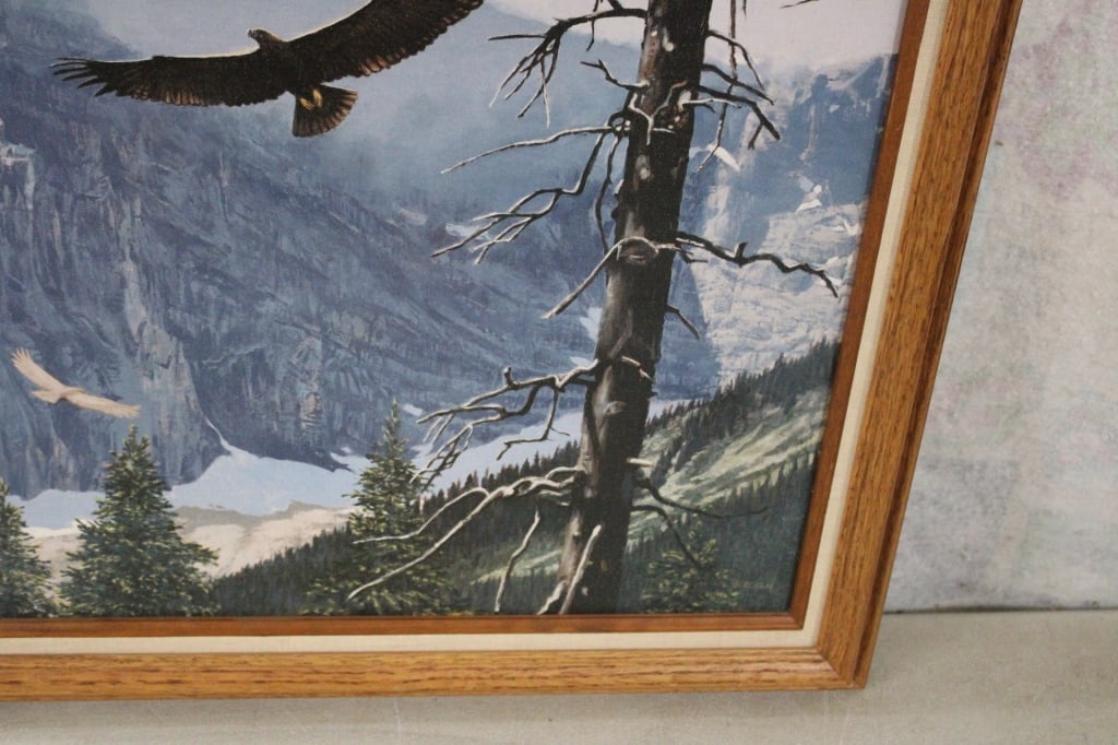 Framed Tom Beecham Soaring Eagles Art Print - 4