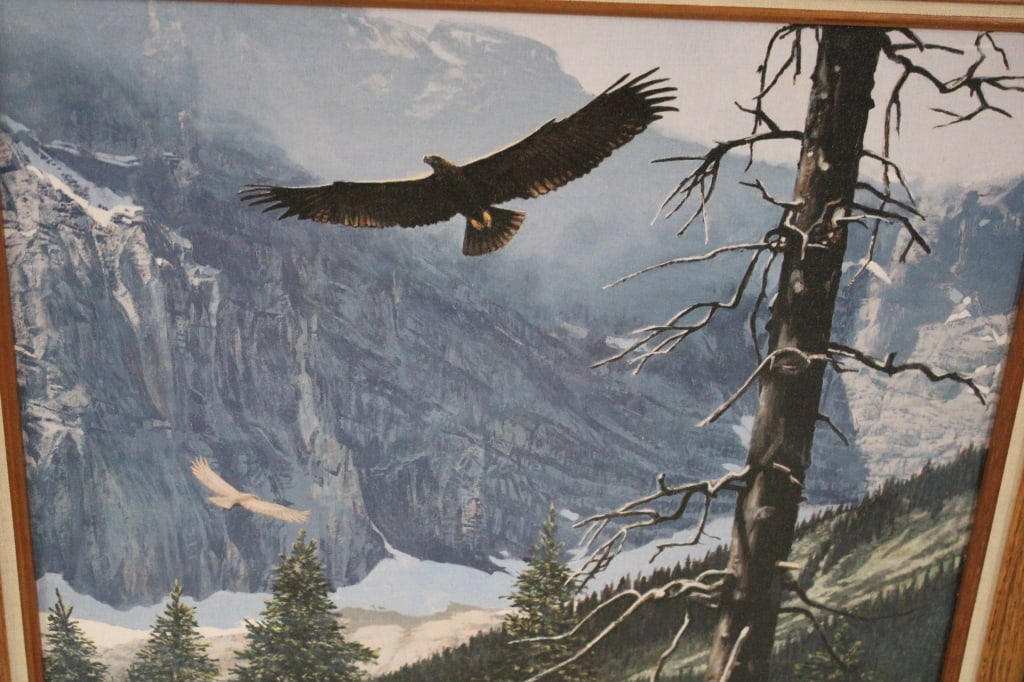 Framed Tom Beecham Soaring Eagles Art Print - 6