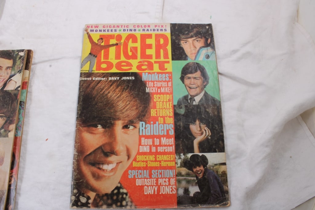 Tiger Beat, Media Spotlight and Creepy Magazines - 18