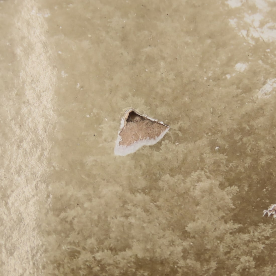 US 45th Infantry Company E Photo & Memorial - 15