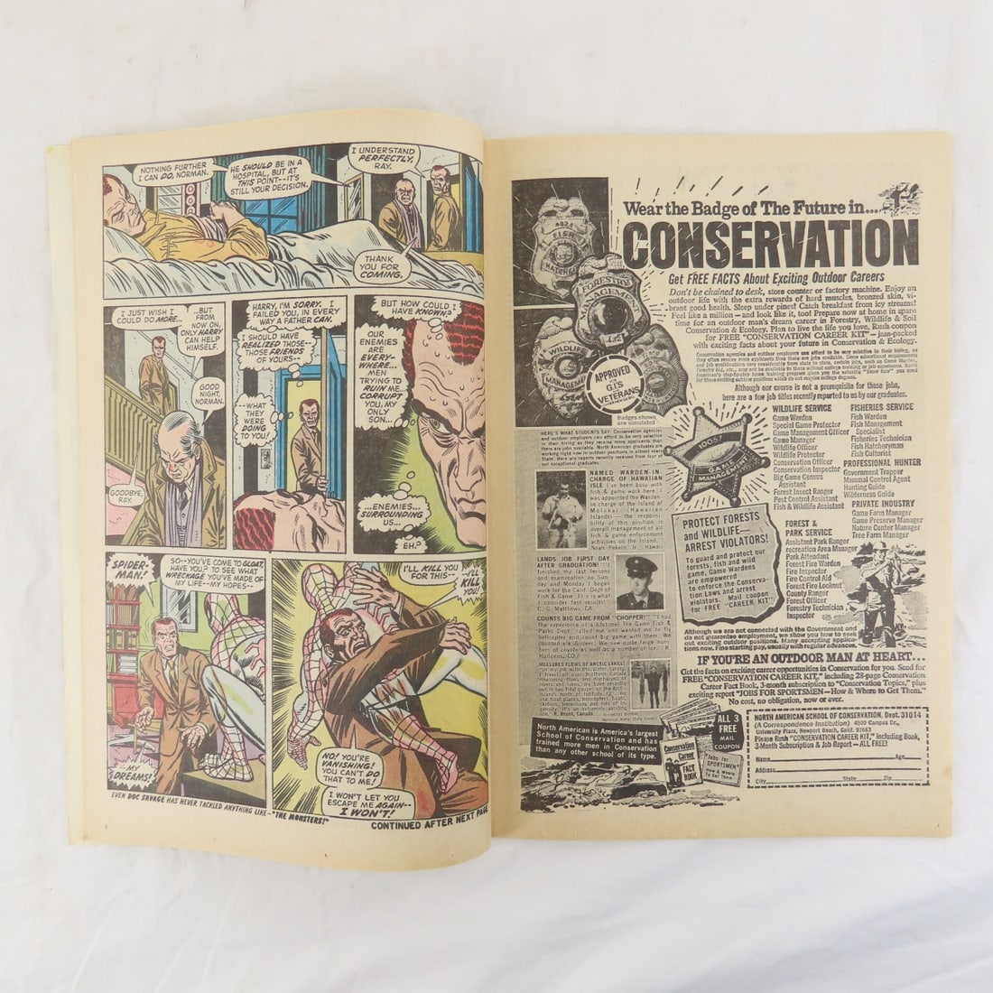 The Amazing Spider-Man Comic #121 - 8