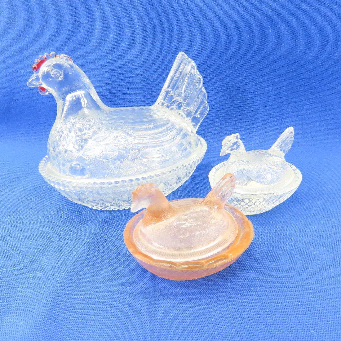 Chickens, Roosters, Hen on Nests & More - 17