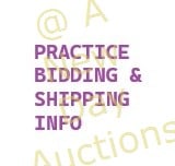 Practice Bidding & Shipping - Nothing for Sale: Practice Bidding & Shipping - Nothing for Sale - PHOTOS: Live Auctioneers only shows 20 photos maximum. All photos can be seen on bid.anewdayauctions.com or Proxibid. CONDITION: Please review all