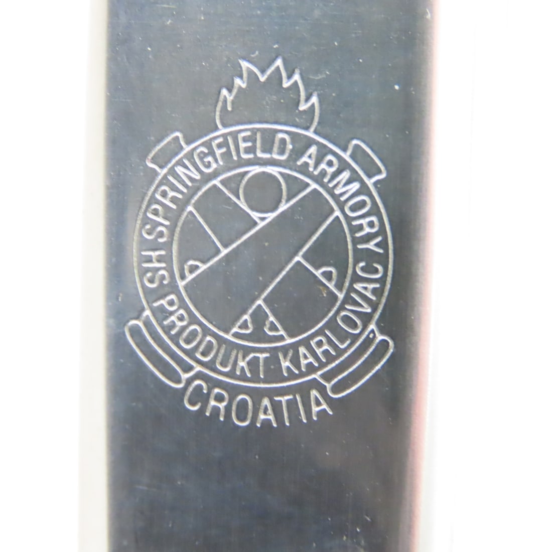 309 Rounds Mixed 9mm Ammunition & Springfield XDM - 20