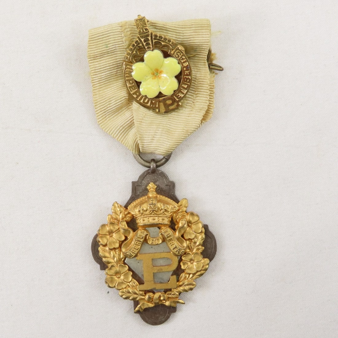 British Primrose League Special Services Medal - 2