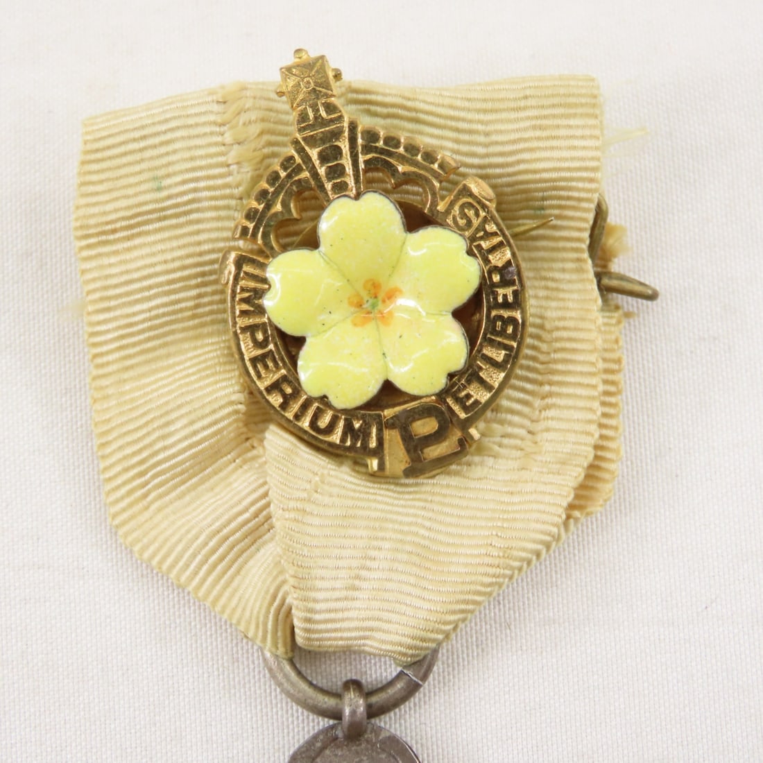 British Primrose League Special Services Medal - 3
