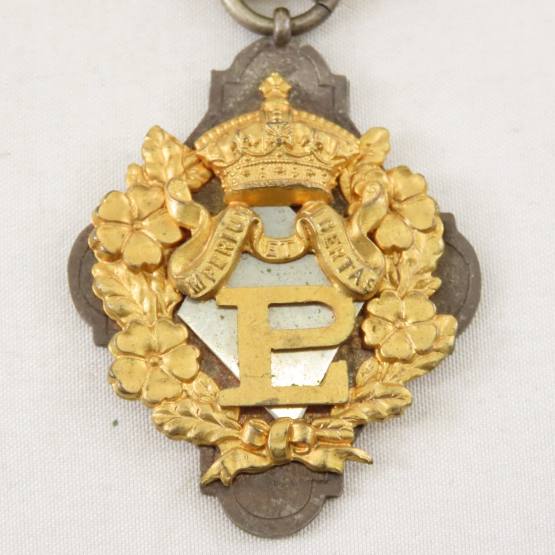British Primrose League Special Services Medal - 4