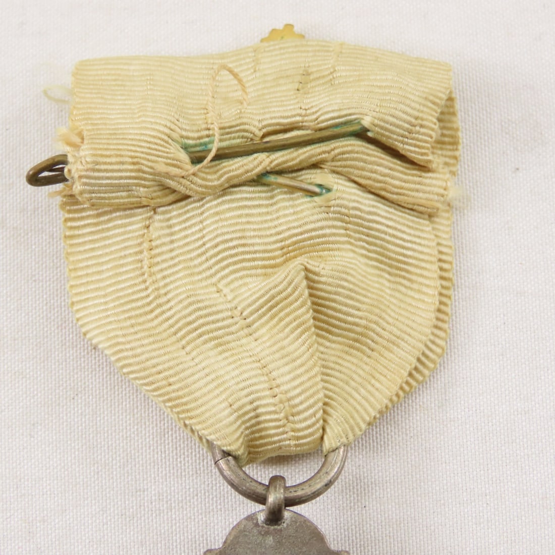 British Primrose League Special Services Medal - 6