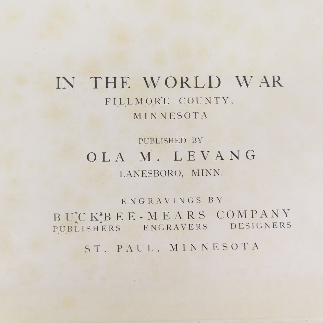 Filmore County In The World War 1917, 1918, 1919 - 6