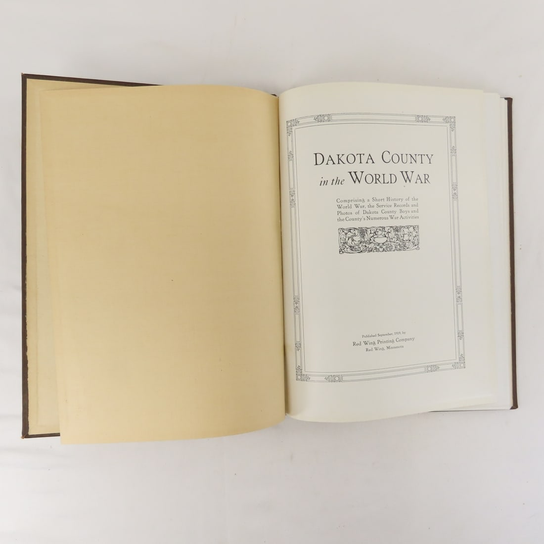 Dakota County In The World War Hardcover Book - 2
