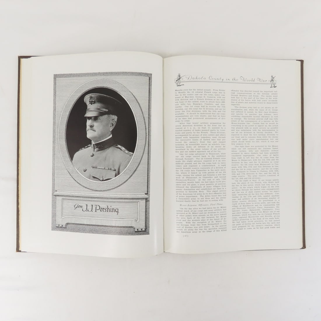 Dakota County In The World War Hardcover Book - 9