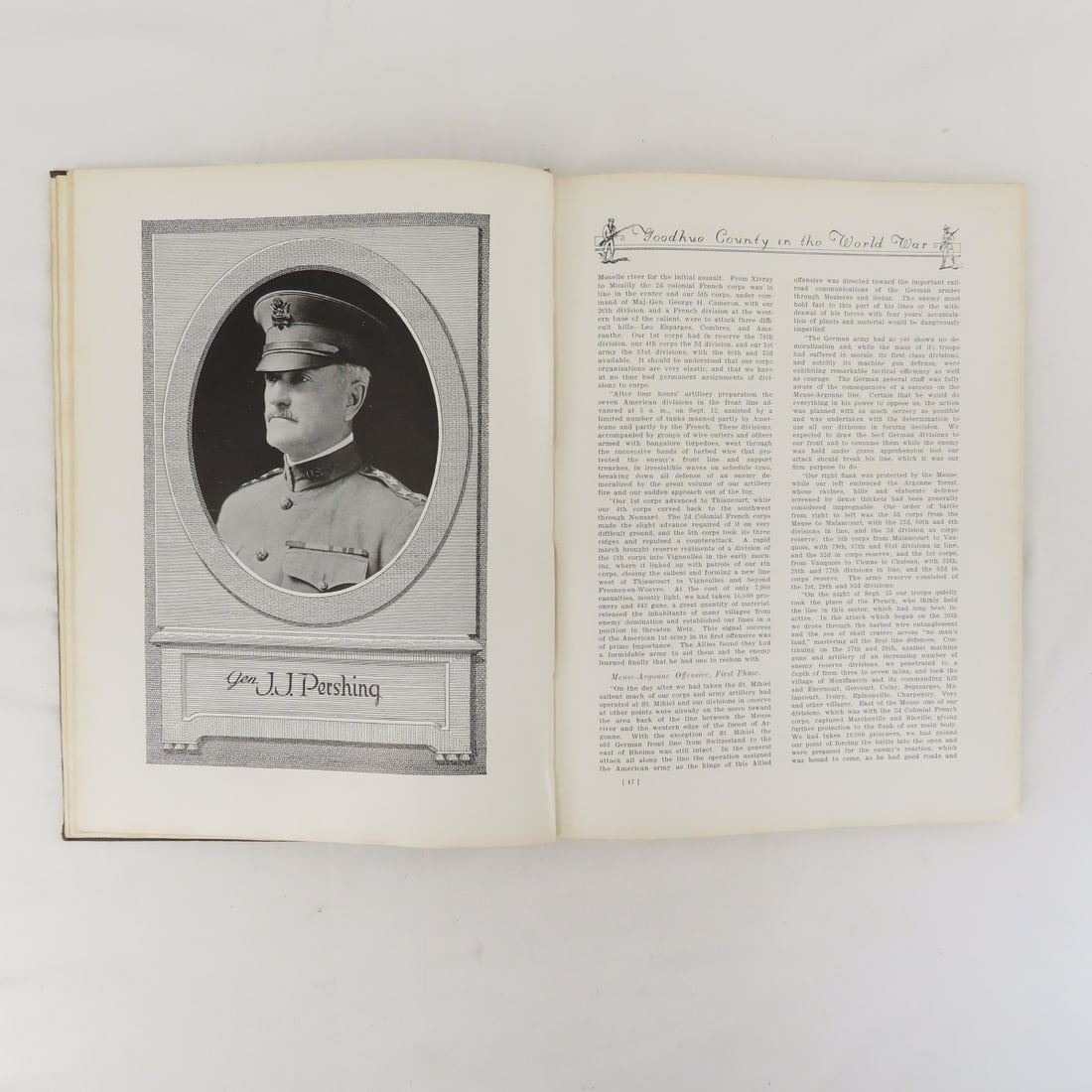 Goodhue County In The World War Hardcover Book - 10