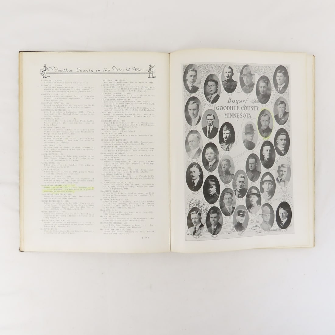 Goodhue County In The World War Hardcover Book - 12