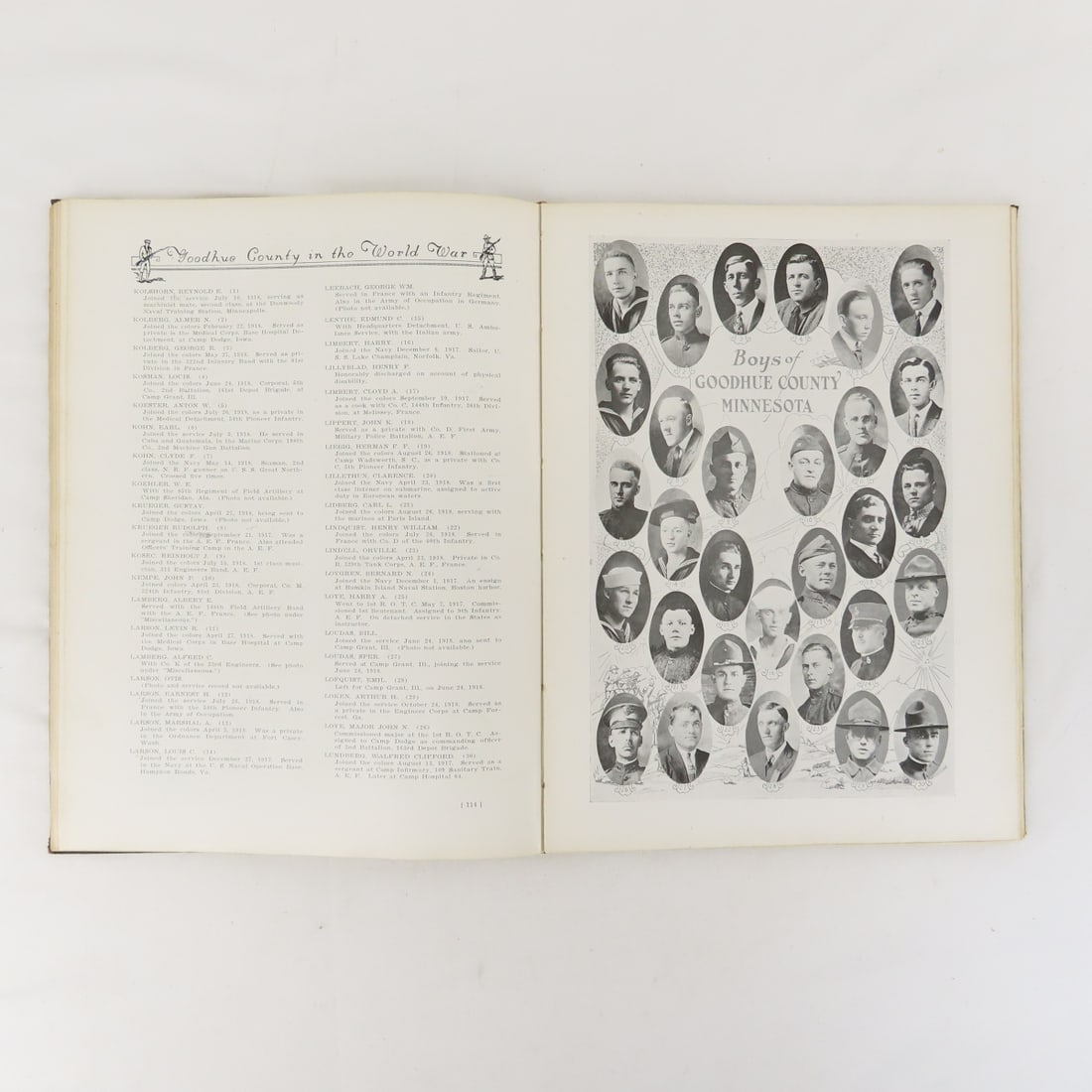 Goodhue County In The World War Hardcover Book - 13