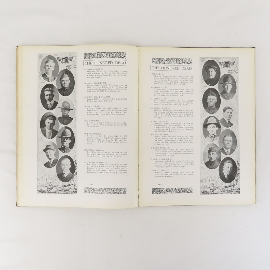 Goodhue County In The World War Hardcover Book - 15