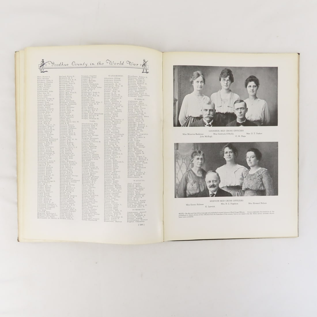 Goodhue County In The World War Hardcover Book - 17