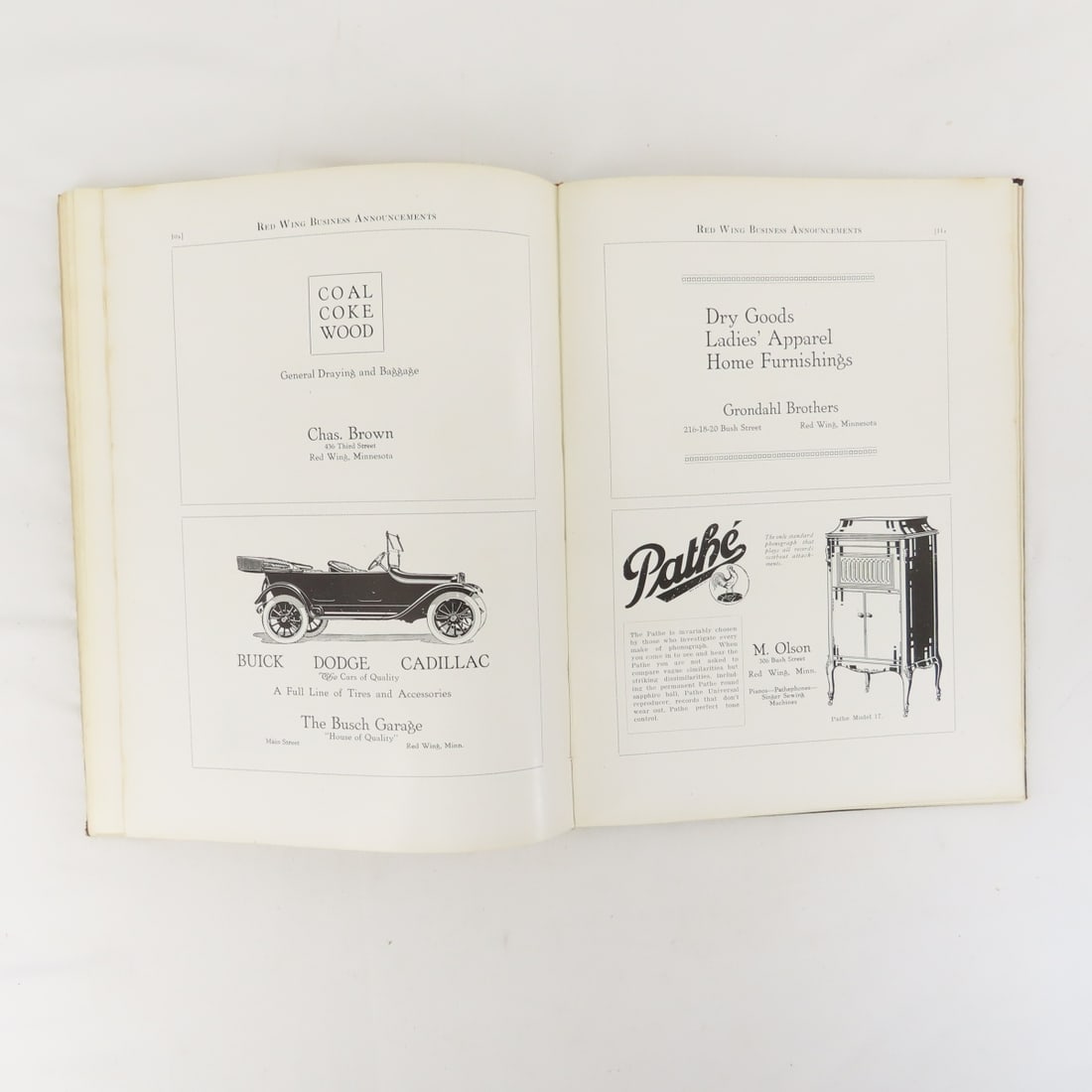 Goodhue County In The World War Hardcover Book - 18