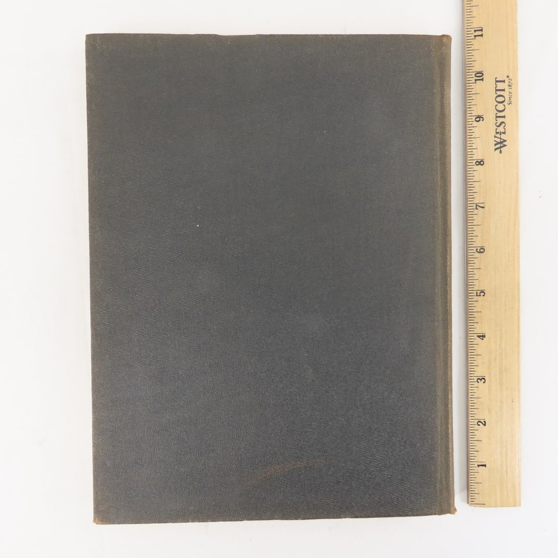 Goodhue County In The World War Hardcover Book - 19