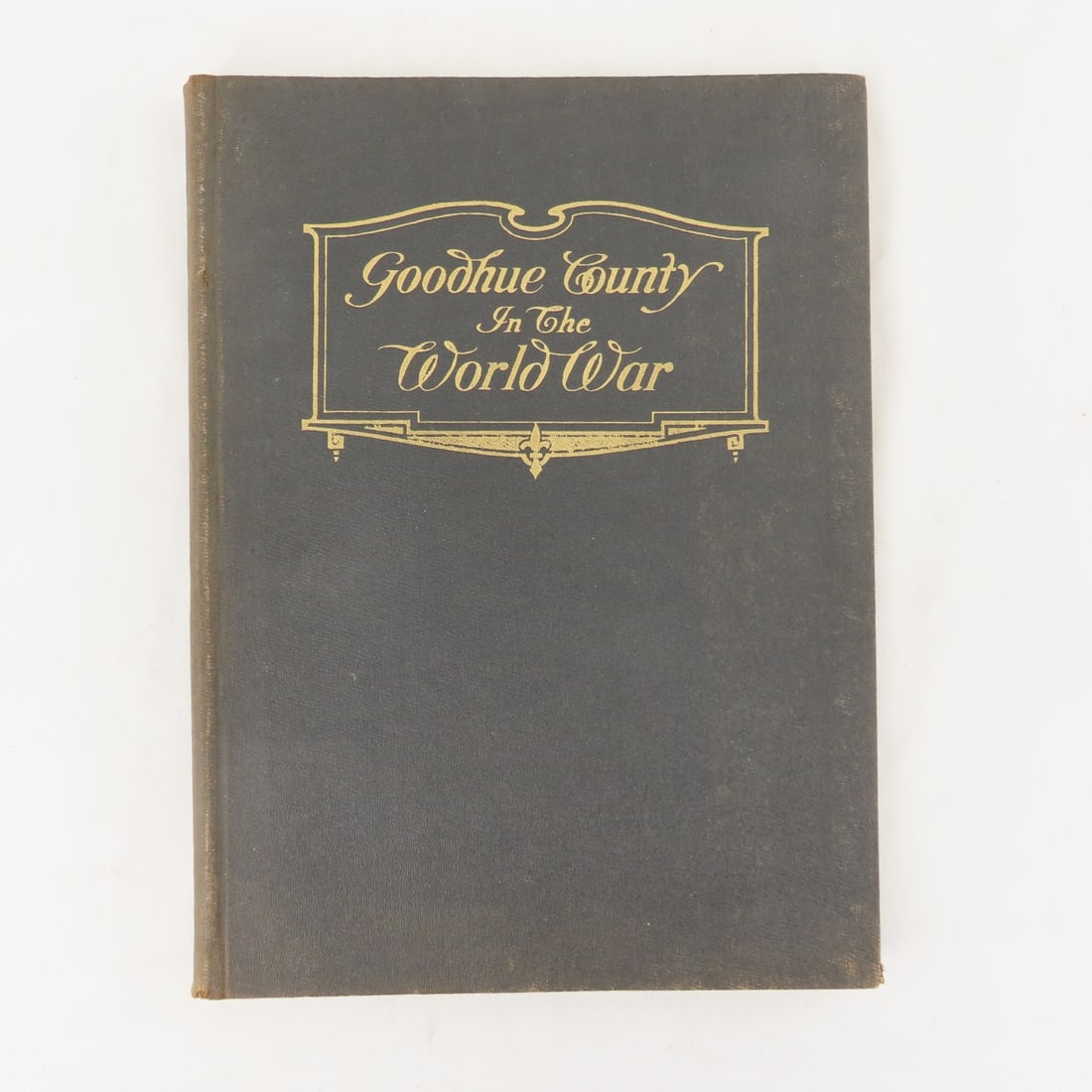 Goodhue County In The World War Hardcover Book (1 of 19)